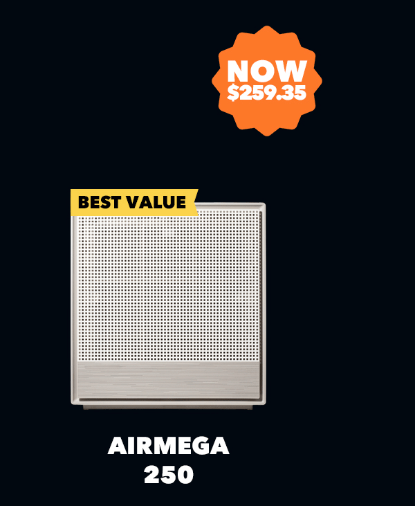AIRMEGA 250