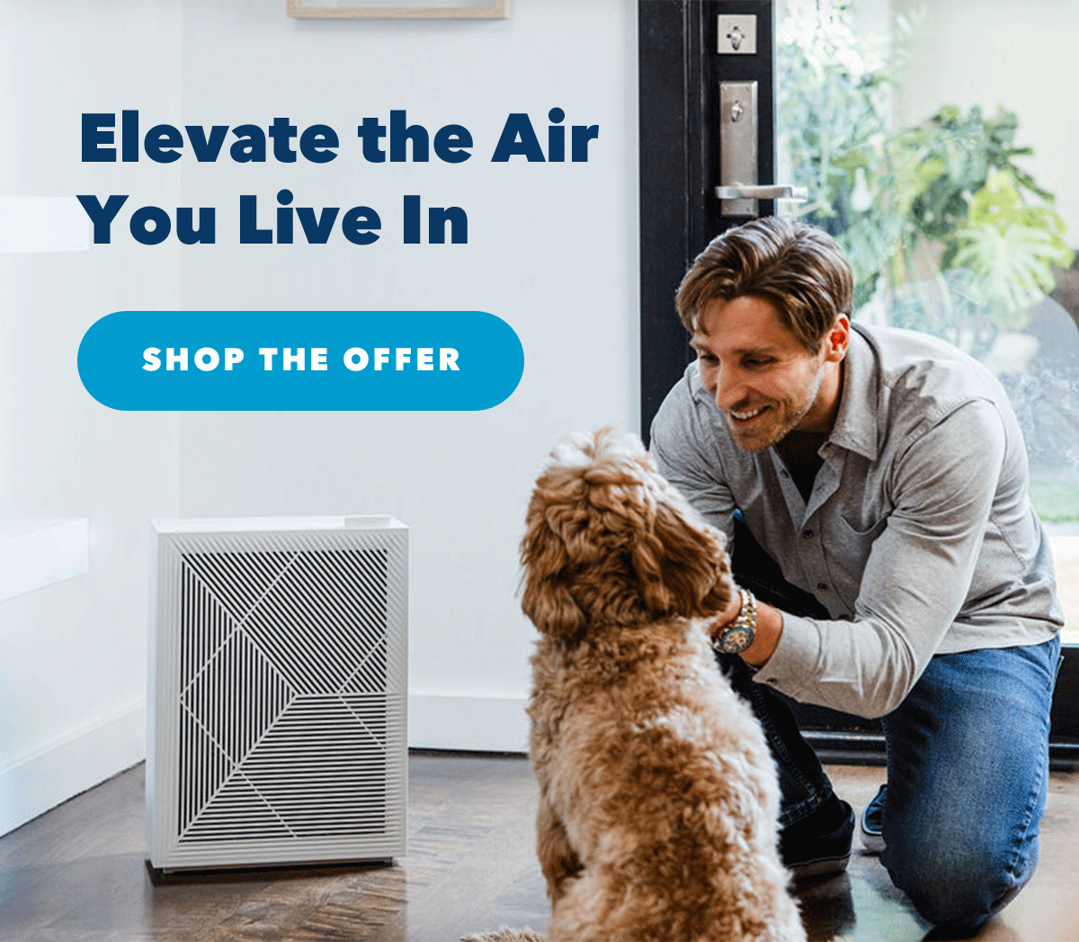 Elevate the Air You Live In