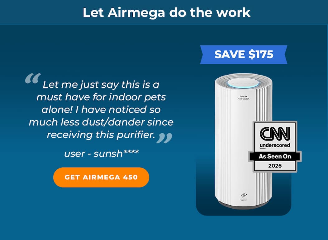 Airmega 450 Flash Sale