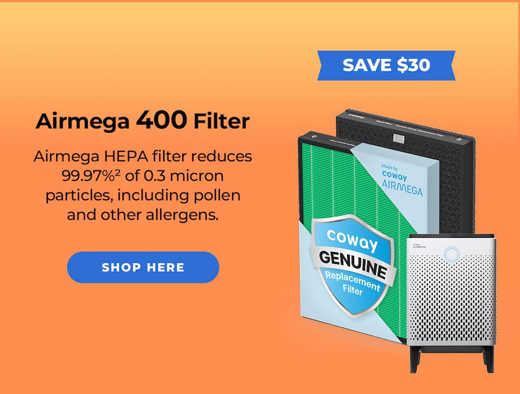 Airmega 400 Filter | Save $30 