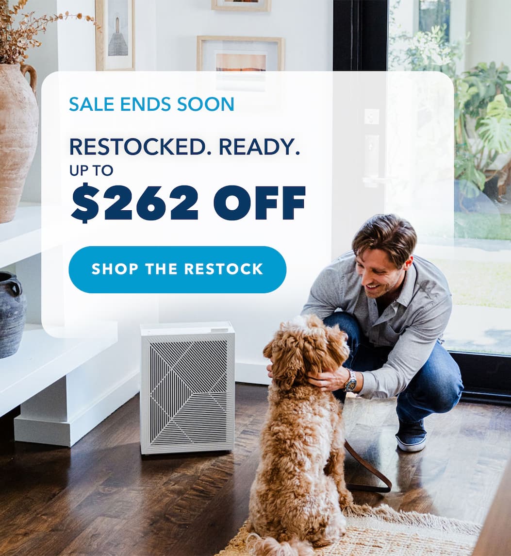 Sale ends soon | RESTOCKED. READY. Up To $262 OFF