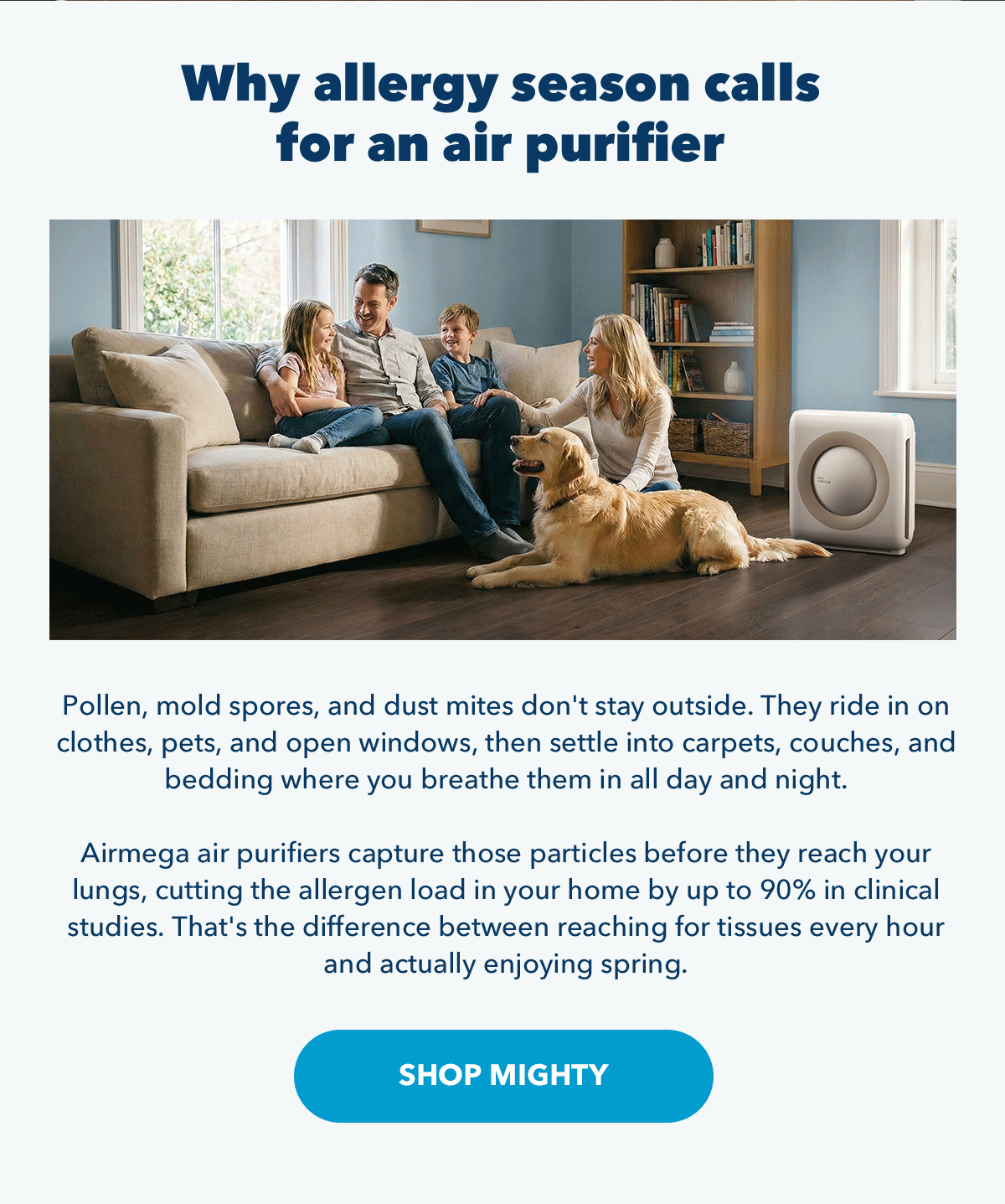 Why allergy season calls for an air purifier