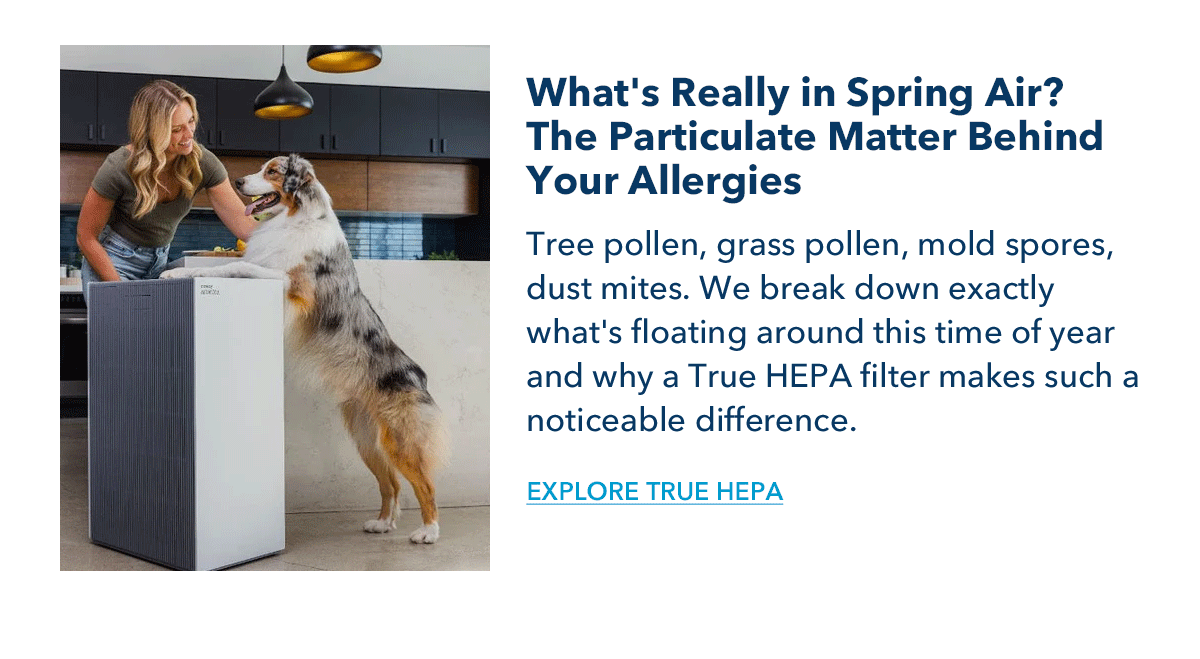 What's Really in Spring Air? The Particulate Matter Behind Your Allergies