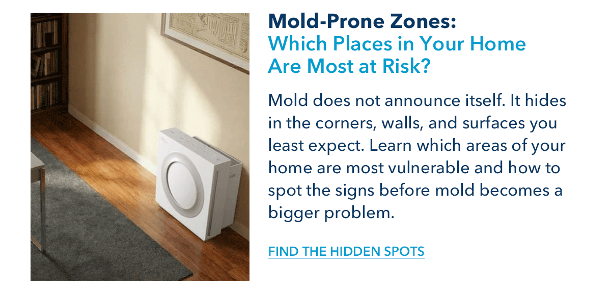 Mold-Prone Zones: Which Places in Your Home Are Most at Risk?