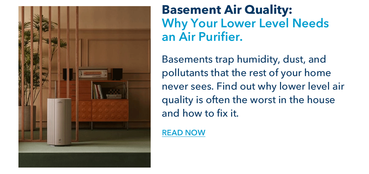 Basement Air Quality: Why Your Lower Level Needs an Air Purifier.