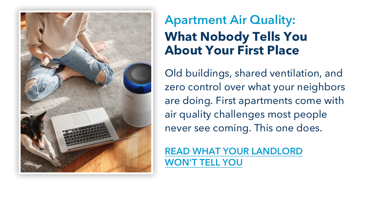 Apartment Air Quality: What Nobody Tells You About Your First Pleace