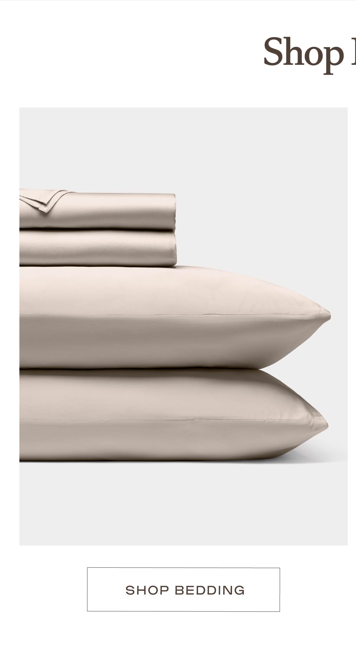 Shop Bedding Shop Bedding