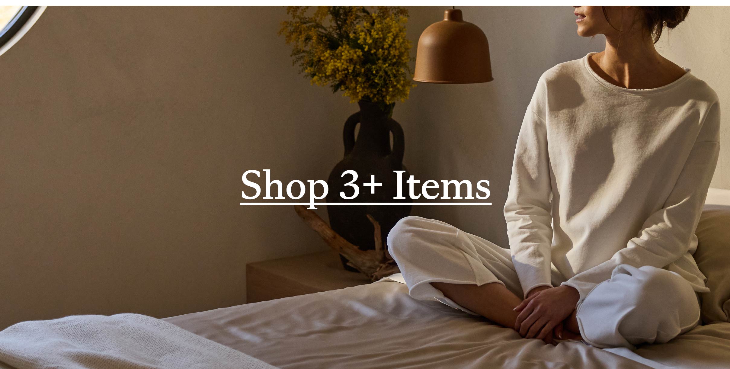 Shop 3+ Items