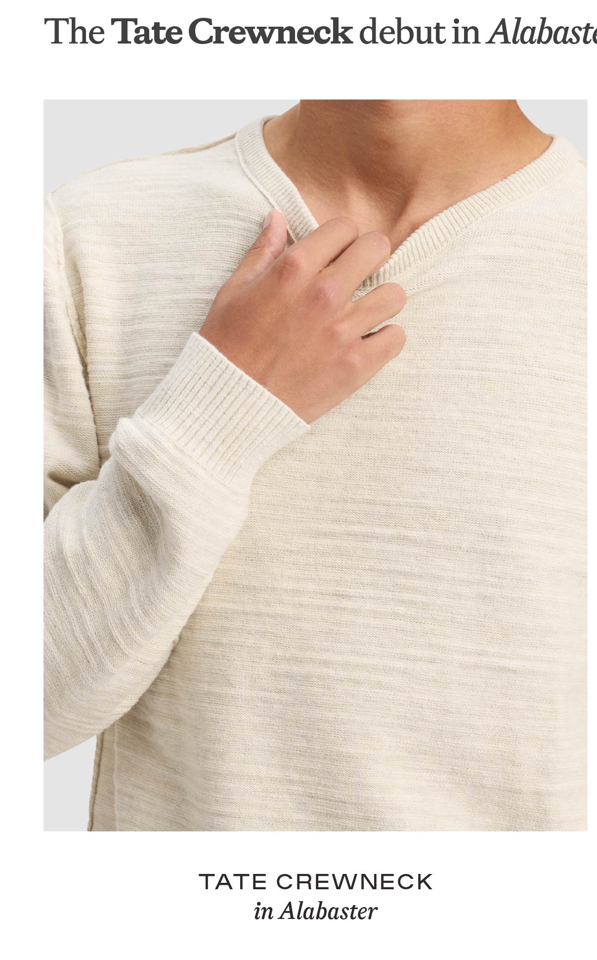 Tate Crewneck in Alabaster