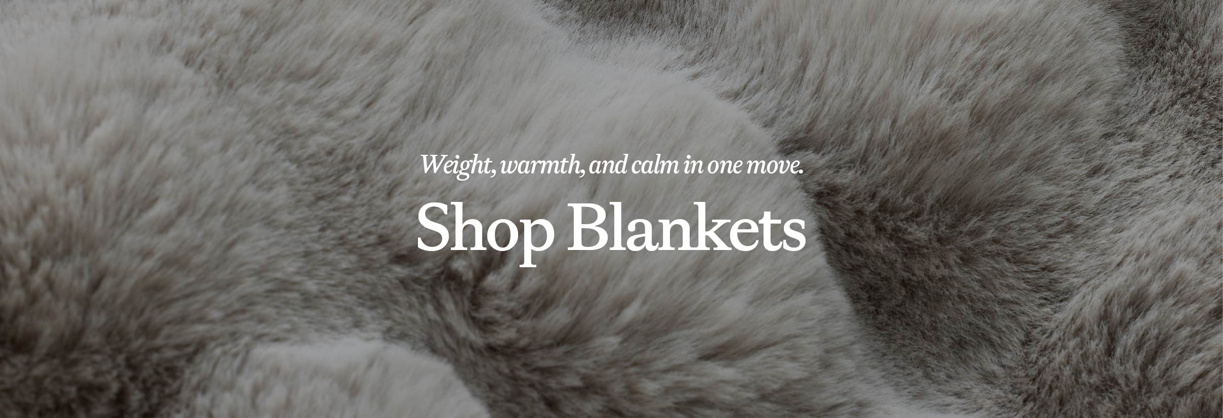 Shop Blankets