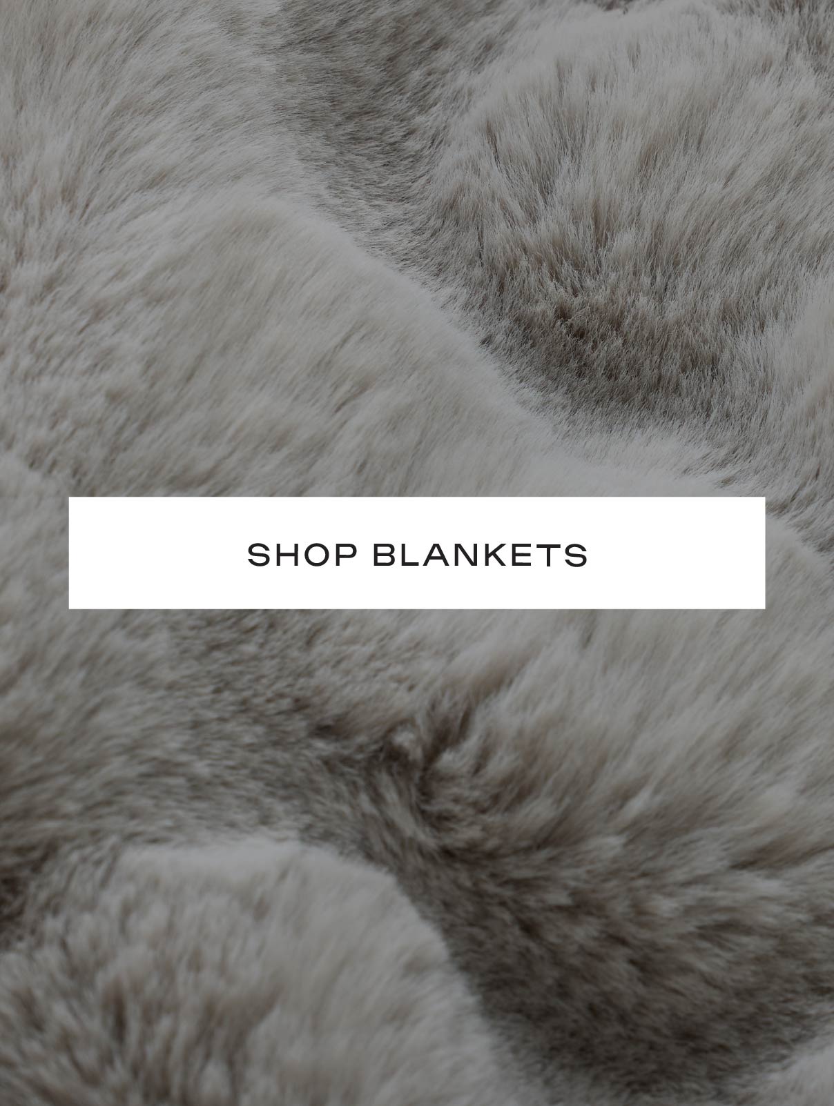 Shop Blankets