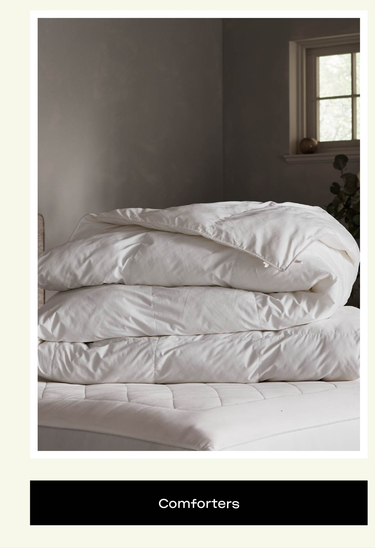 Comforters - Shop Now