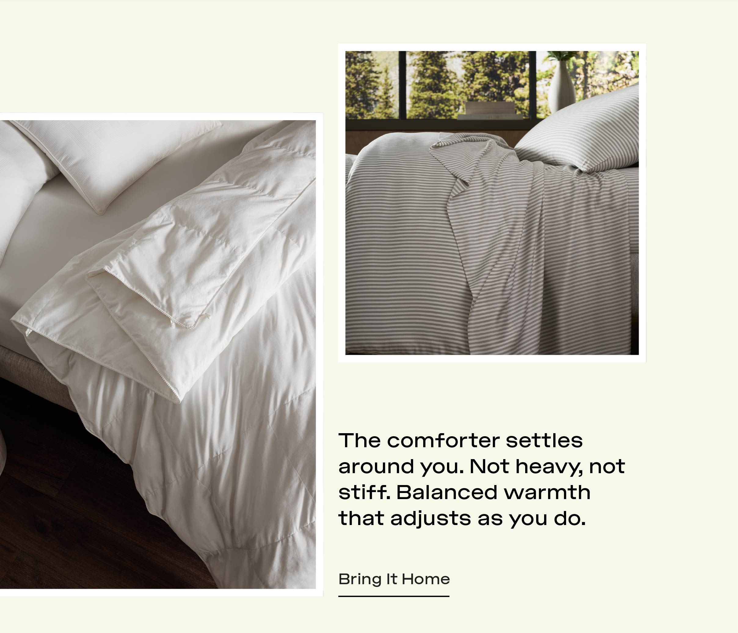 Shop Comforters