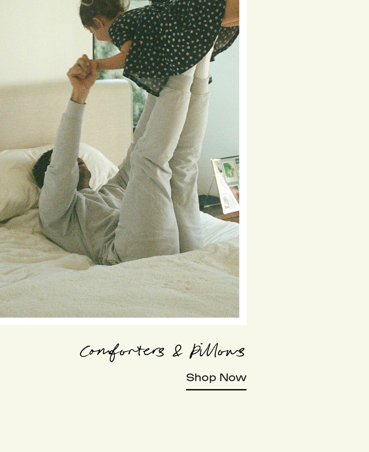 Comforters & Pillows - Shop Now