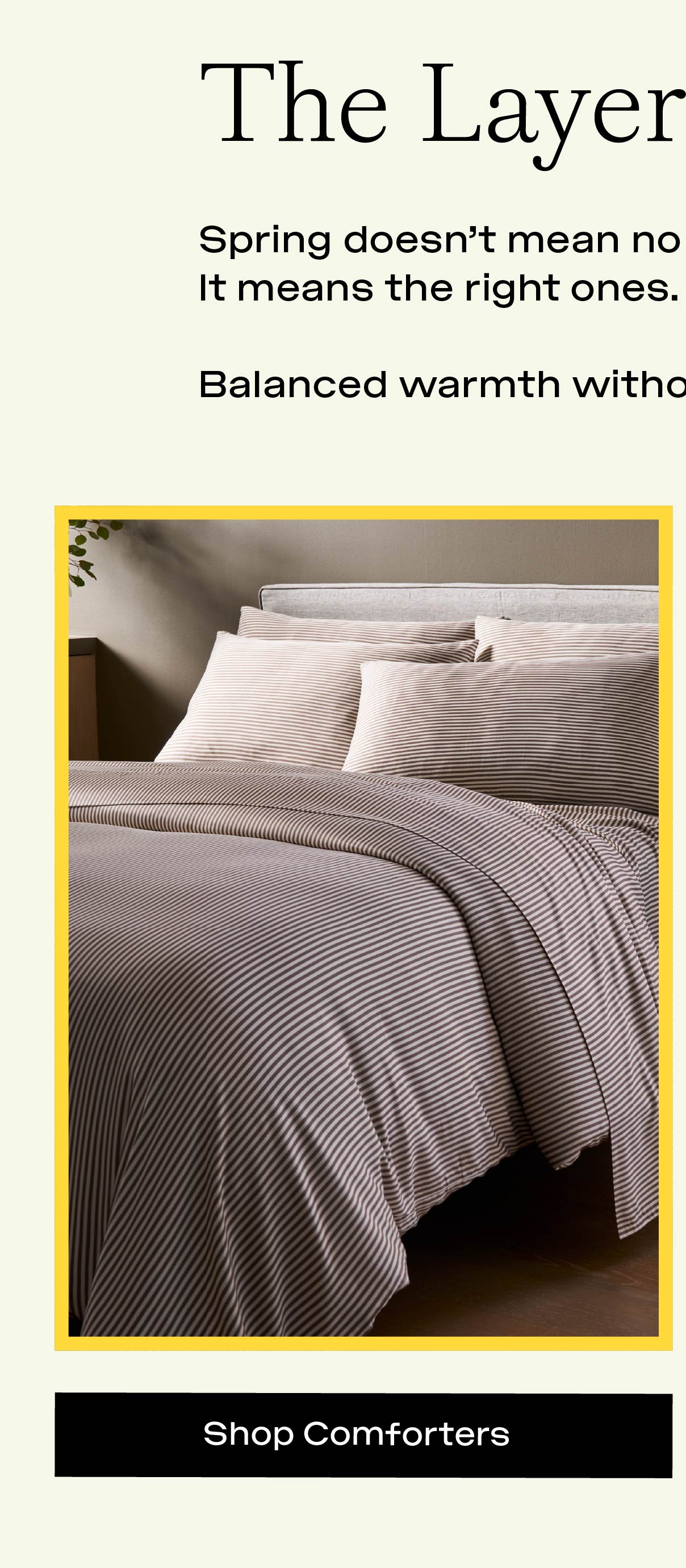 Shop Comforters