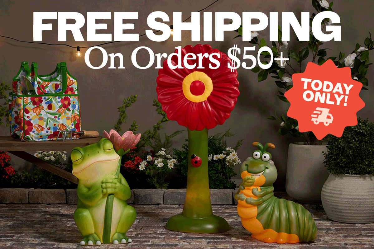 Free Shipping On Orders $50+ - Today Only!