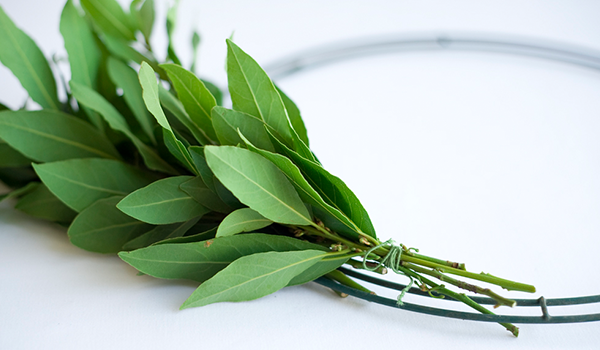 How to Make a Christmas Wreath Using Fresh Greens