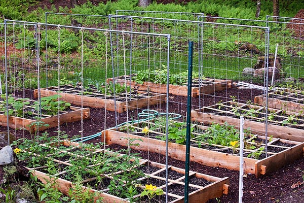 Squash the Winter Blues! Start Planning Your Spring Garden