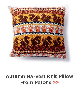Autumn Harvest Knit Pillow From Patons
