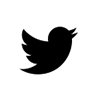  "Twitter"