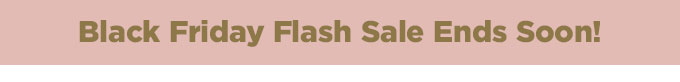 Black Friday Flash Sale: Get 3 Months for $1.