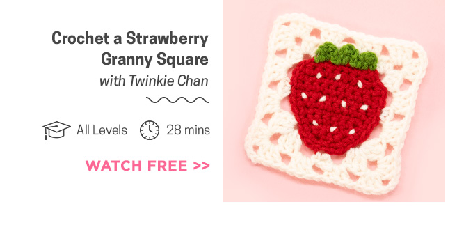 Twinkie Chan- Crochet a Strawberry Granny Square