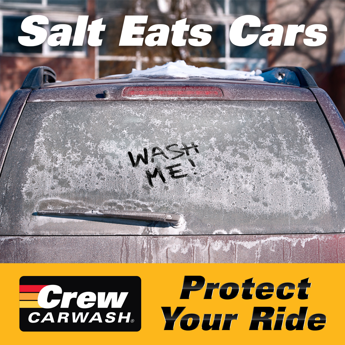 Salt Eats Cars