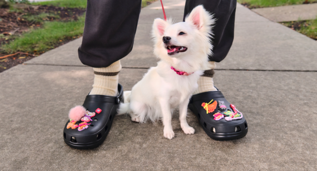 Shop Our Versatile Classic Clog Styles