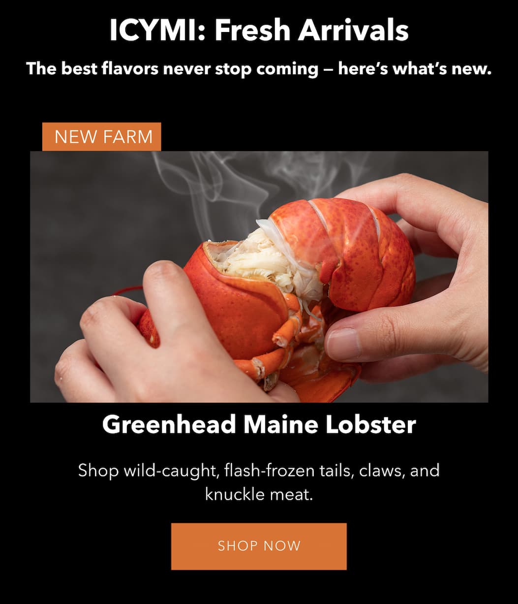 Greenhead Lobster