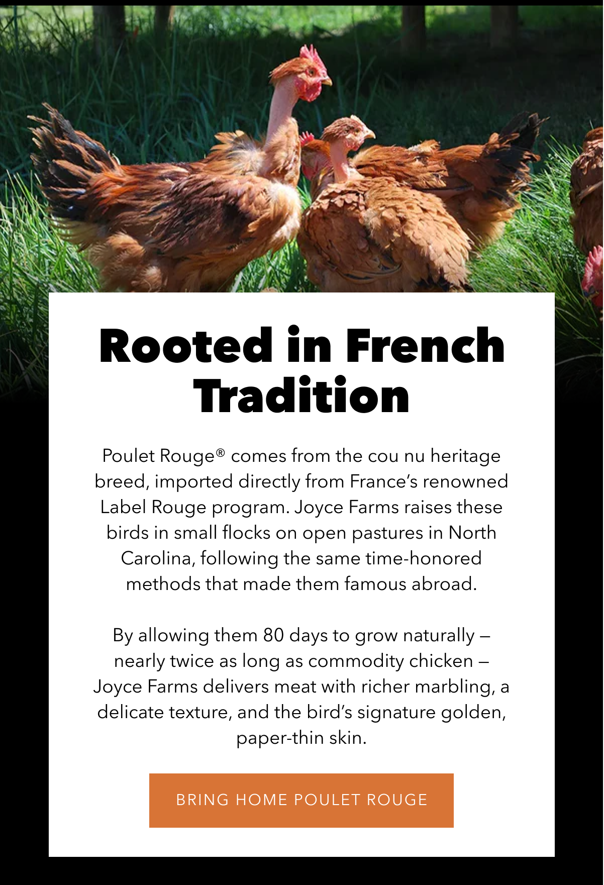 Joyce Farms