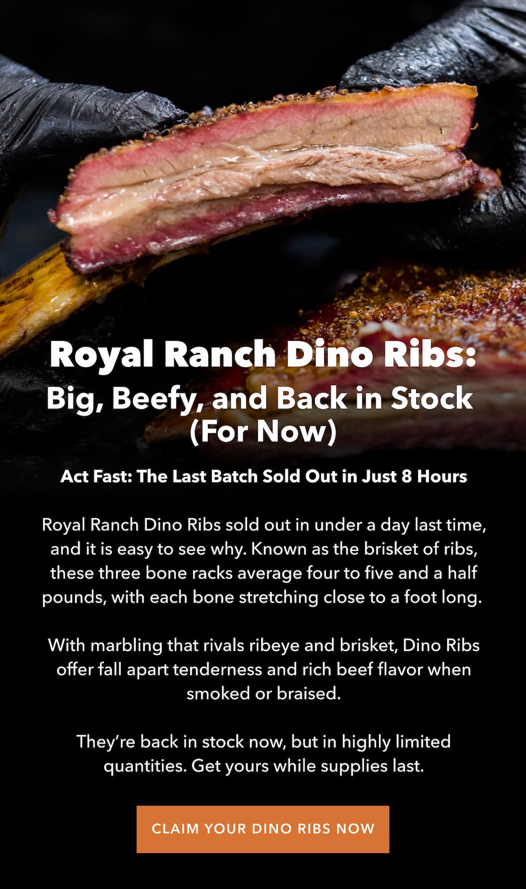 Dino Ribs
