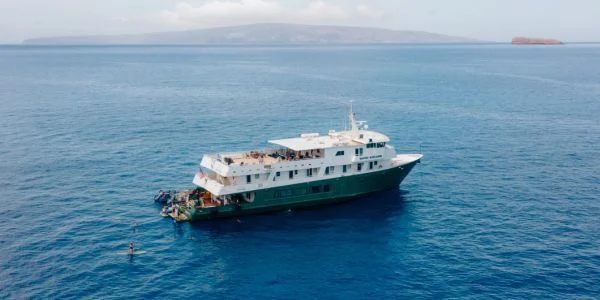 15% Off Adventure Cruises in Baja & Hawaii!