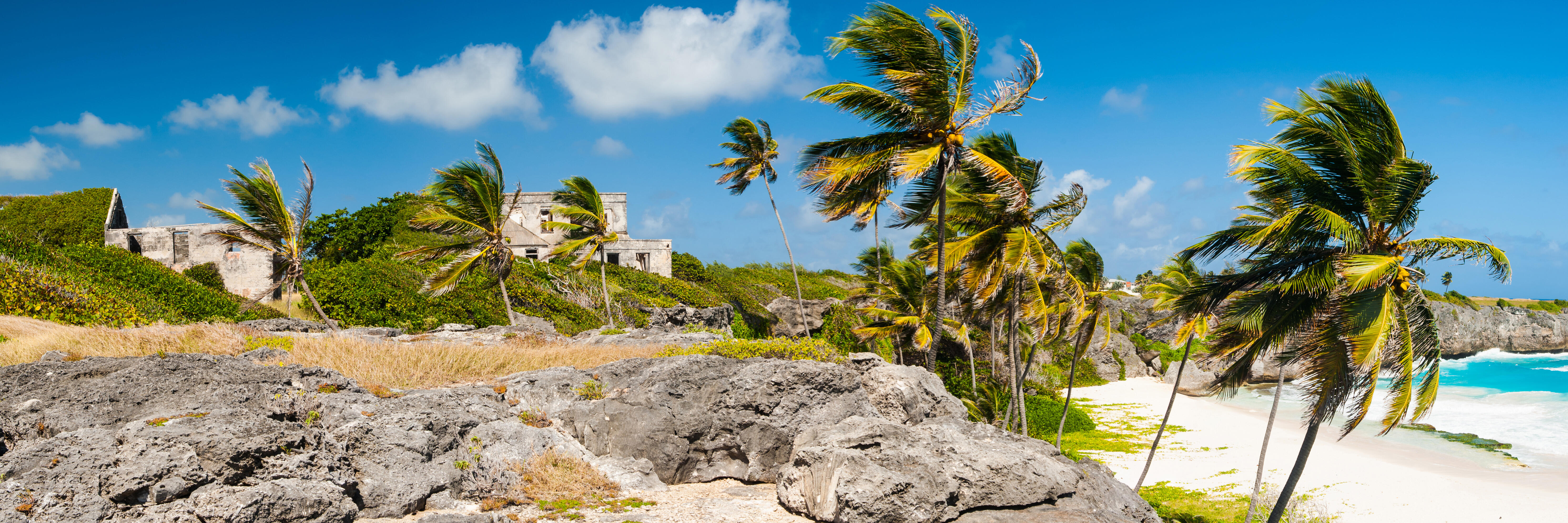 Unwind in Paradise