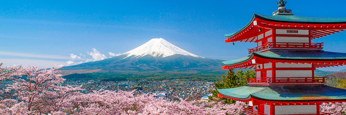 Pagoda Mount Fuji snow cherry blossoms