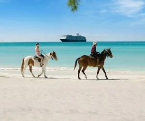 Discover Paradise
