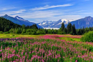 Set Sail to Alaska in 2025