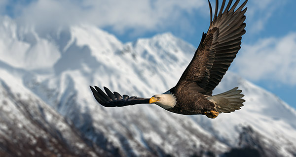 Wrangell, Alaska