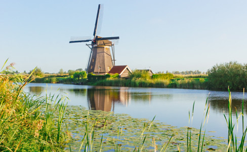 Reeds Lilypads Canal Windmill Kinderdijk