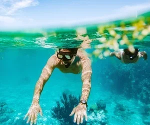 Caribbean Cruise Sale – Up to 50% Off + Free Guests