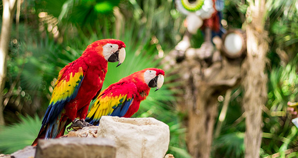 Cozumel, Mexico