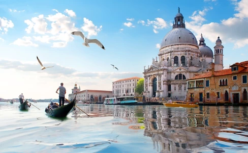Seagulls Santa Maria Cathedral Venice