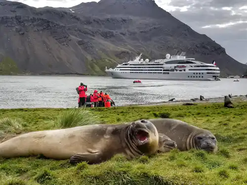 9 Cruises You Should Book Early