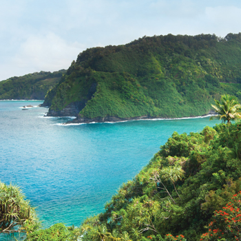 Hawaii & Tahiti Cruises