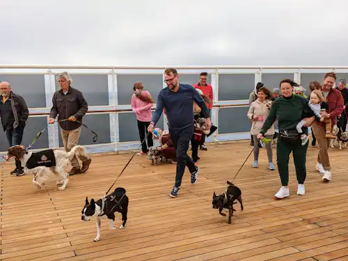 Wait... You Can Bring a Dog on a Cruise?