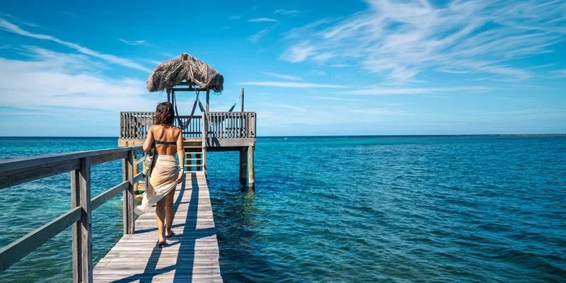 The Positive Evolution of MSC Cruises in the U.S.