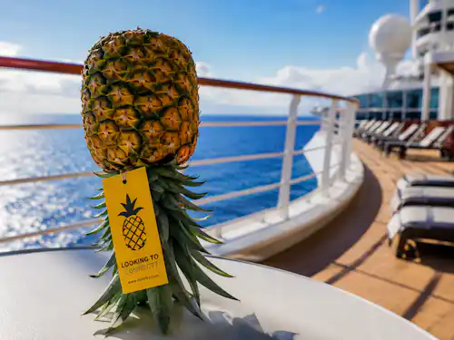 The Cruise Symbol Everyone Talks About