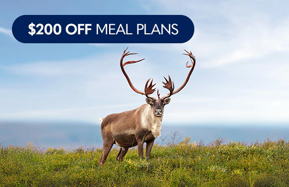 Alaska, Denali, & Yukon Cruisetours