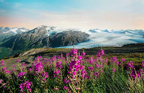 Alaska & Denali Cruisetours