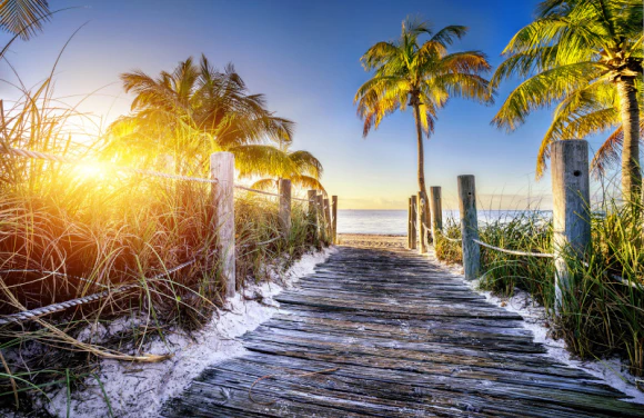 Caribbean Collectors Voyages