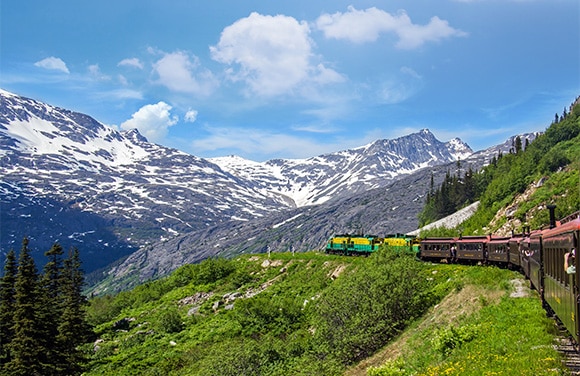 Alaska & Denali Cruisetours